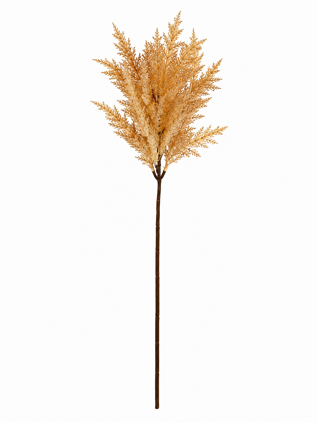 Haste de Capim Outonado – 56cm