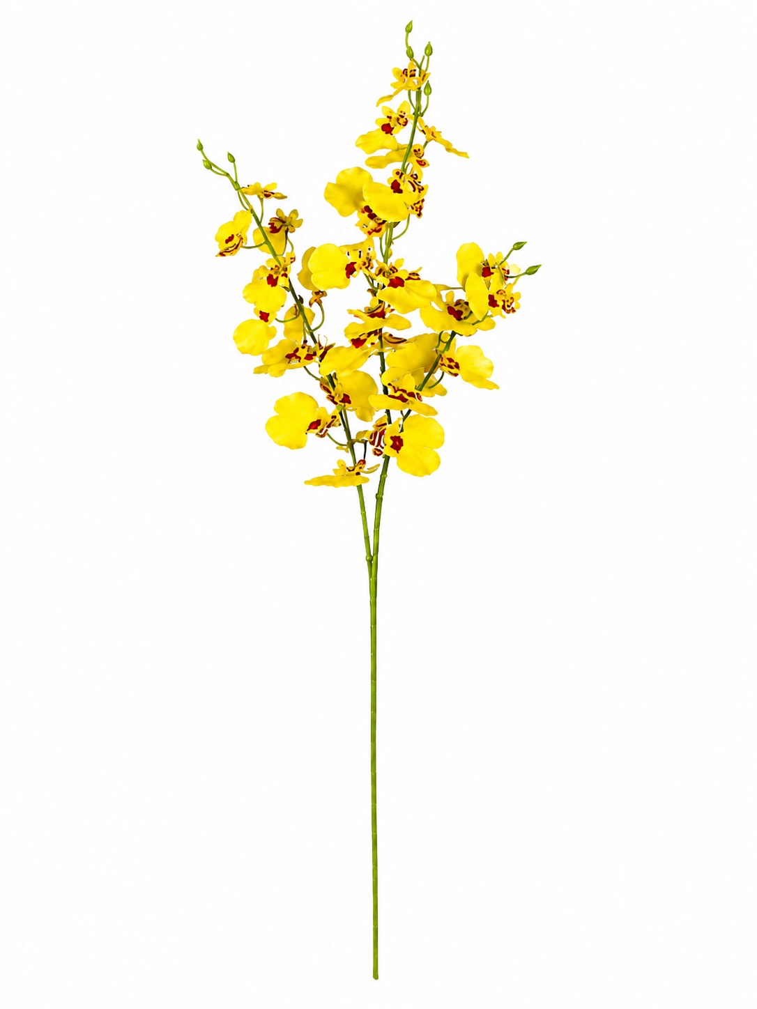 Haste de Orquídea Chuva de Ouro Artificial – 89cm
