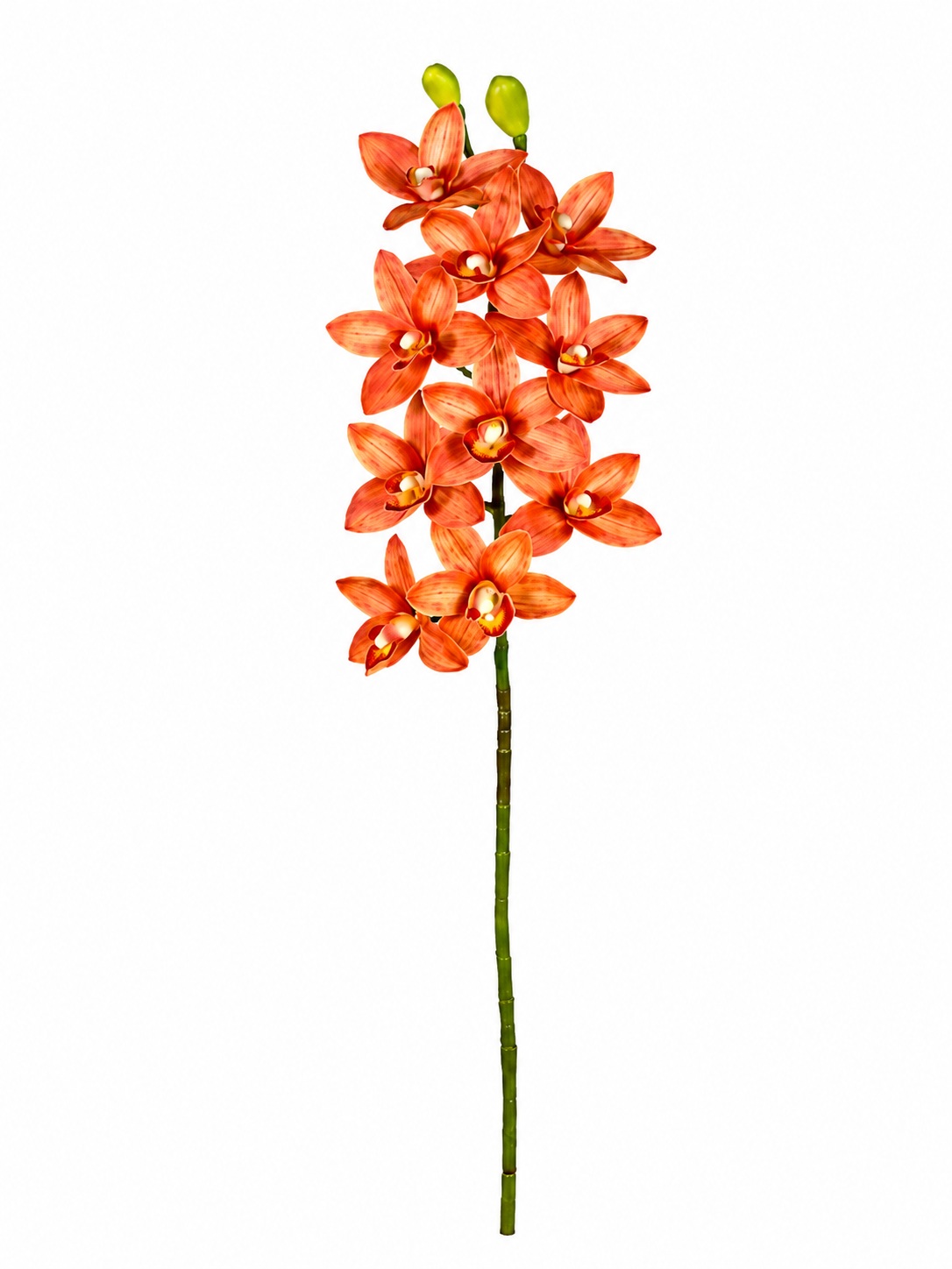 Haste de Orquídea Cymbidium 3D com 10 Flores - 73cm