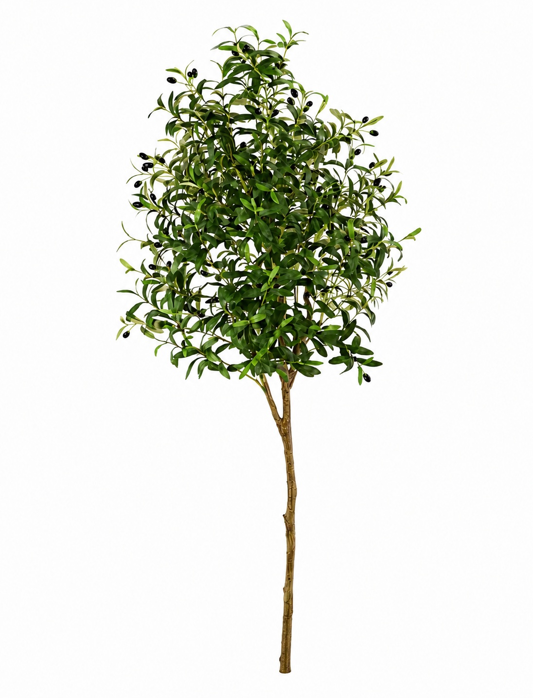 Planta Oliveira Artificial - 180cm